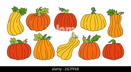 Pumpkin line cartoon set. Autumn doodle ripe whole pumpkins. Halloween or Thanksgiving Day festival symbol harvest collection. Agricultural hand drawn trendy colorful vegetable icon orange red vector Stock Vector