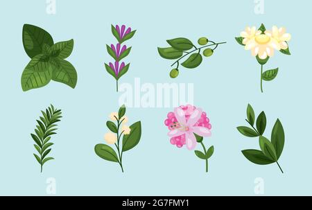 eight spring nature set icons Stock Vector