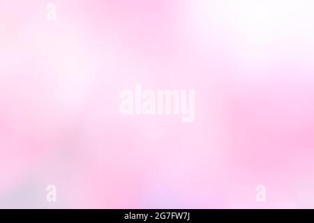 Abstract blurred of soft pink and white color use for backgrounds Stock Photo