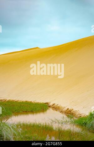 Te-Paki Giant Sand Dunes in Pukenui, North Island New Zealand Stock Photo