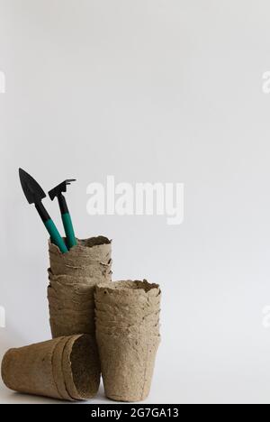 Tools for gardening and seedlings. On a light grey background. Stock Photo