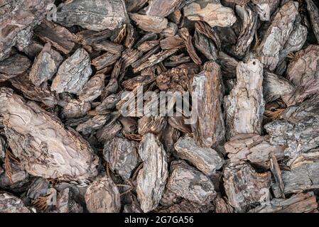 Mulching flowerbed with pine tree bark mulch as background. Heap of dry pine tree bark pieces, decorative soil for flower. Top view. Selective focus. Stock Photo