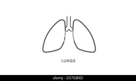 Lungs Icon. Vector isolated linear editable illustration of lungs Stock Vector