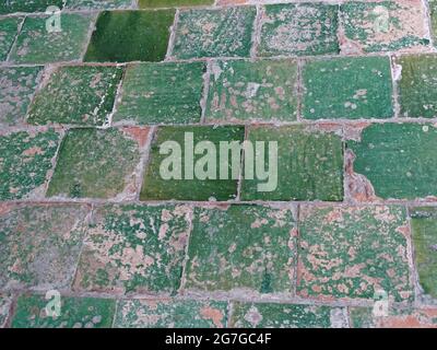 Old green tiles on the floor Stock Photo