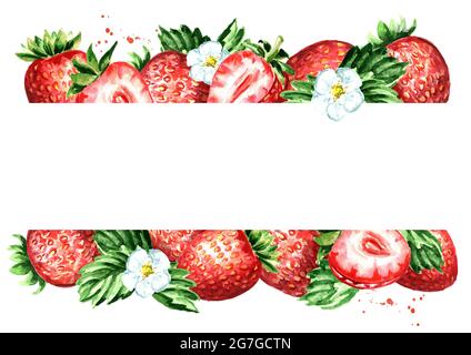 Fresh strawberry horizontal template. Watercolor hand drawn illustration  isolated on white background Stock Photo