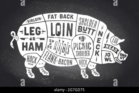 Pig butcher chalkboard scheme. Pork meat cut parts hand drawn diagram ...