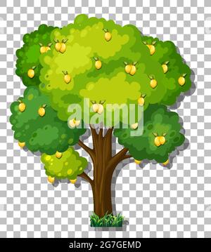 Lemon tree on transparent background illustration Stock Vector Image ...