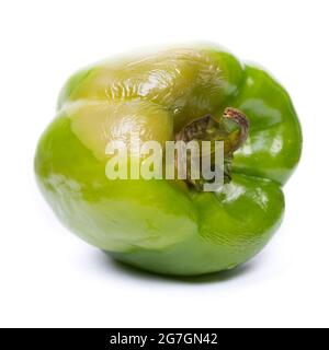 Rotten green bell pepper isolated on white background Stock Photo