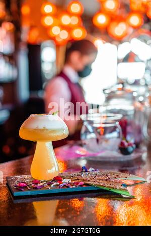 Sour cocktail with mint leaf in mushroom shaped glass served on wooden counter with bottle of alcohol drink in pub Stock Photo