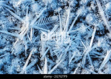 ice forms in a puddle, Germany Stock Photo