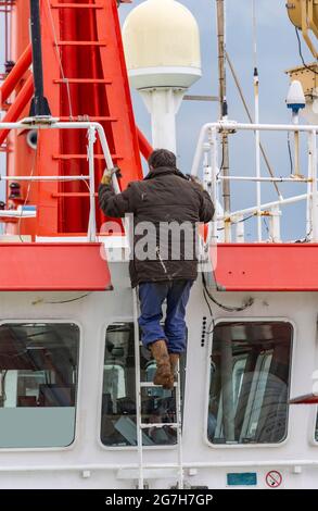 employee of a ship climbs up a ladder Stock Photo