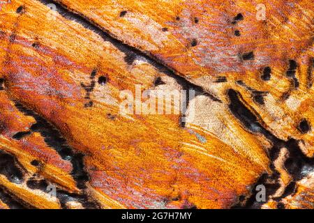Vivid and colorful abstract metallic texture for background. Stock Photo