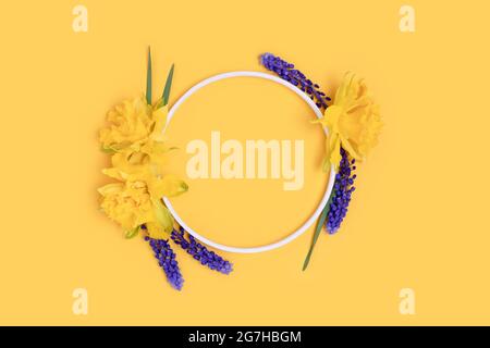 Wreath made of narcissus and muscari flowers on a yellow background. Stock Photo