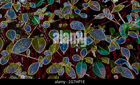 Bright pattern of multicoloured leaves Stock Photo