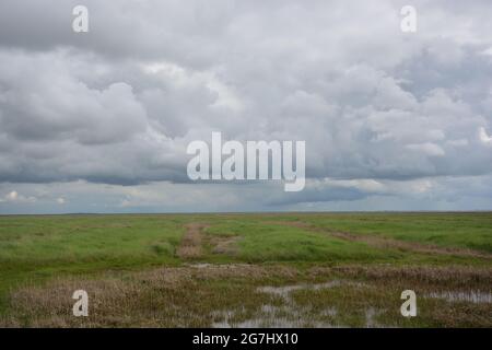 Landscape with clouds near Hamburger Hallig in northern Germany Stock Photo
