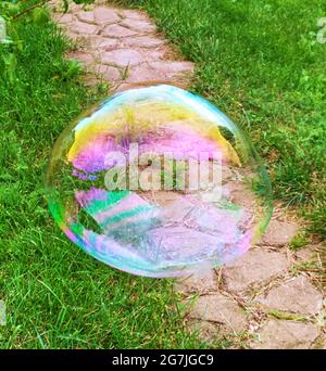 Soap bubble on the background of green grass and concrete path Stock Photo
