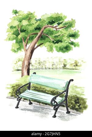 City bench under a tree in the park, Watercolor hand drawn illustration, isolated on white background Stock Photo