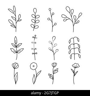 Discover more than 72 botanical illustration tattoo latest  thtantai2