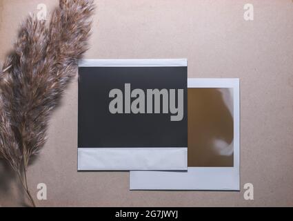 Two Blank photo frames with reed on brown background Stock Photo