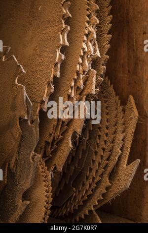 old rusty circular saw blades Stock Photo