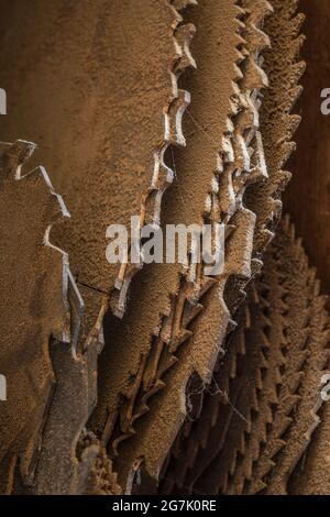 old rusty circular saw blades Stock Photo