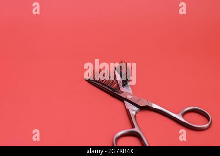 Magnetic fake artificial eyelashes on scissors. on a red background.  Stock Photo