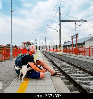 Active tourist with backpack using phone and waiting for train. Man and beagle dog waiting on railway station. Older tourist texting on mobile phone Stock Photo