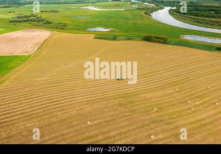Aerial View Tractor Collects Dry Grass In Straw Bales In Wheat Field. Special Agricultural Equipment. Hay Bales, Hay Making. Stock Photo