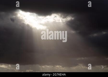 Sunbeams breaking through dark storm clouds, creating dramatic crepuscular rays in a moody sky. Atmospheric natural light phenomenon. Stock Photo
