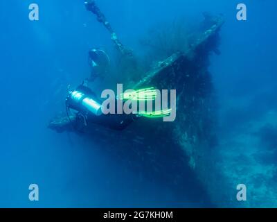 Blurred silhouettes of divers near a sunken ship at the bottom of the Indian Ocean Stock Photo