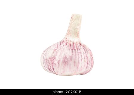 Garlic isolated. Isolated garlic on white background with clipping path. Whole fresh garlic Stock Photo