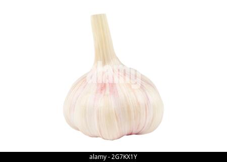 Garlic isolated. Isolated garlic on white background with clipping path. Whole fresh garlic Stock Photo