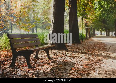 old wooden bench in a city park in autumn season, horizontal photo Stock Photo