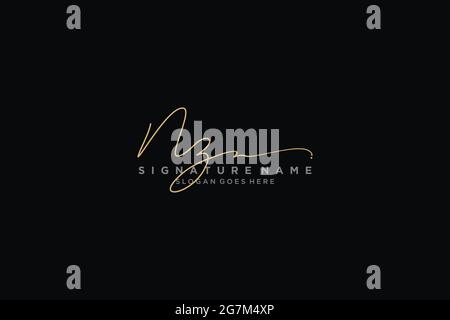 NZ Letter Signature Logo Template elegant design logo Sign Symbol template vector icon Stock Vector