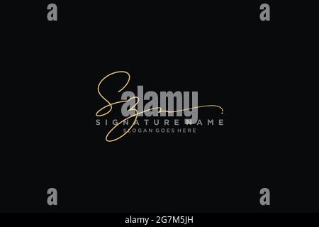 SZ Letter Signature Logo Template elegant design logo Sign Symbol template vector icon Stock Vector