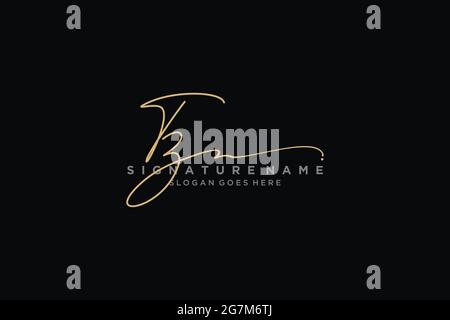 TZ Letter Signature Logo Template elegant design logo Sign Symbol template vector icon Stock Vector