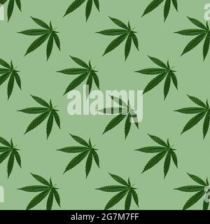 Hemp or cannabis leaves seamless pattern. Close up of fresh Cannabis leaves on green background Stock Photo