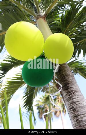 Bright balloons on a palm tree. Party background. Stock Photo
