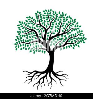 Large Tree Wall Decals Trees Decal Nursery Tree Wall De Stock Vector
