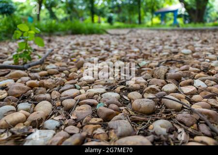 Pebbles on public park Stock Photo