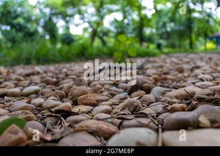 Pebbles on public park Stock Photo