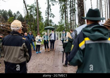Albbruck, Germany. 15th July, 2021. State Minister Peter Hauk (CDU, with umbrella) stands in the forest with other participants during an inspection. The southern Black Forest is one of the regions in Baden-Württemberg most affected by extreme weather-related forest damage. In order to develop solutions, the forest was declared a model area. The aim of the project is to provide support and rapid assistance to forest owners both in dealing with the damage and in reforesting the damaged areas. Credit: Philipp von Ditfurth/dpa/Alamy Live News Stock Photo