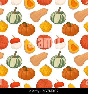 seamless pattern with Different autumn pumpkins. Vintage drawing of fresh ripe vegetables. Fall harvest. Hand-drawn vector illustration Stock Vector