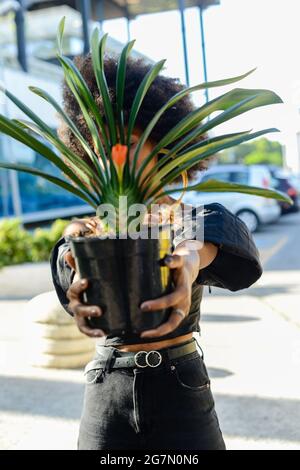 Beautiful Afroamerican female showing a pot of Clivia plant on background of an urban building Stock Photo