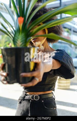 Beautiful Afroamerican female showing a pot of Clivia plant on background of an urban building Stock Photo