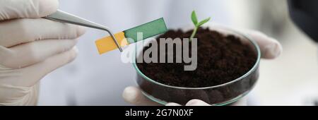Researcher holds small-stemmed glass flask with soil with Ph test strip Stock Photo