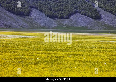 Castelluccio di Norcia, Umbria Stock Photo