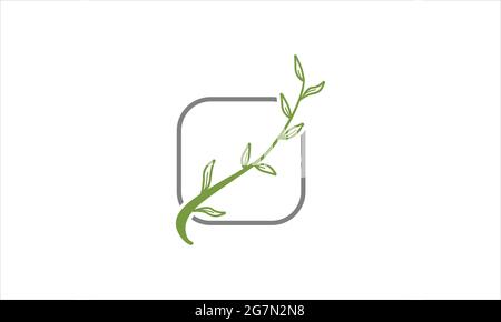 green leaf floral boho botanical monogram logo vector minimalist design logo Stock Vector
