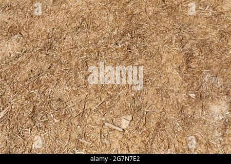 texture from sawdust from the wood industry Stock Photo