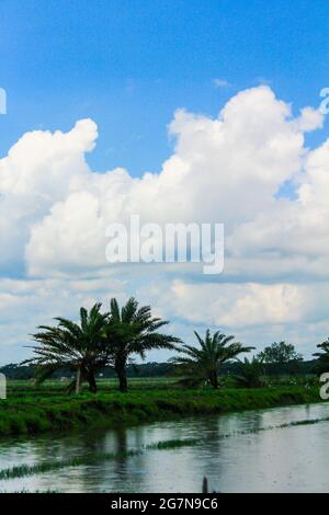 bangladeshi beautiful village and natural beauty Stock Photo